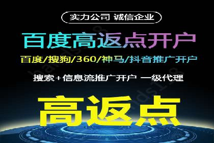 热门SEM运营公司案例深度剖析